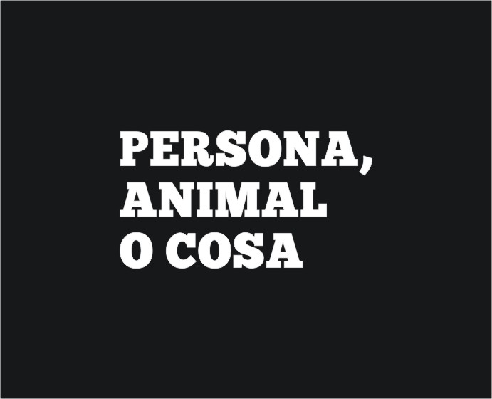 CAMISETA PERSONA, ANIMAL O COSA HOMBRE Y MUJER